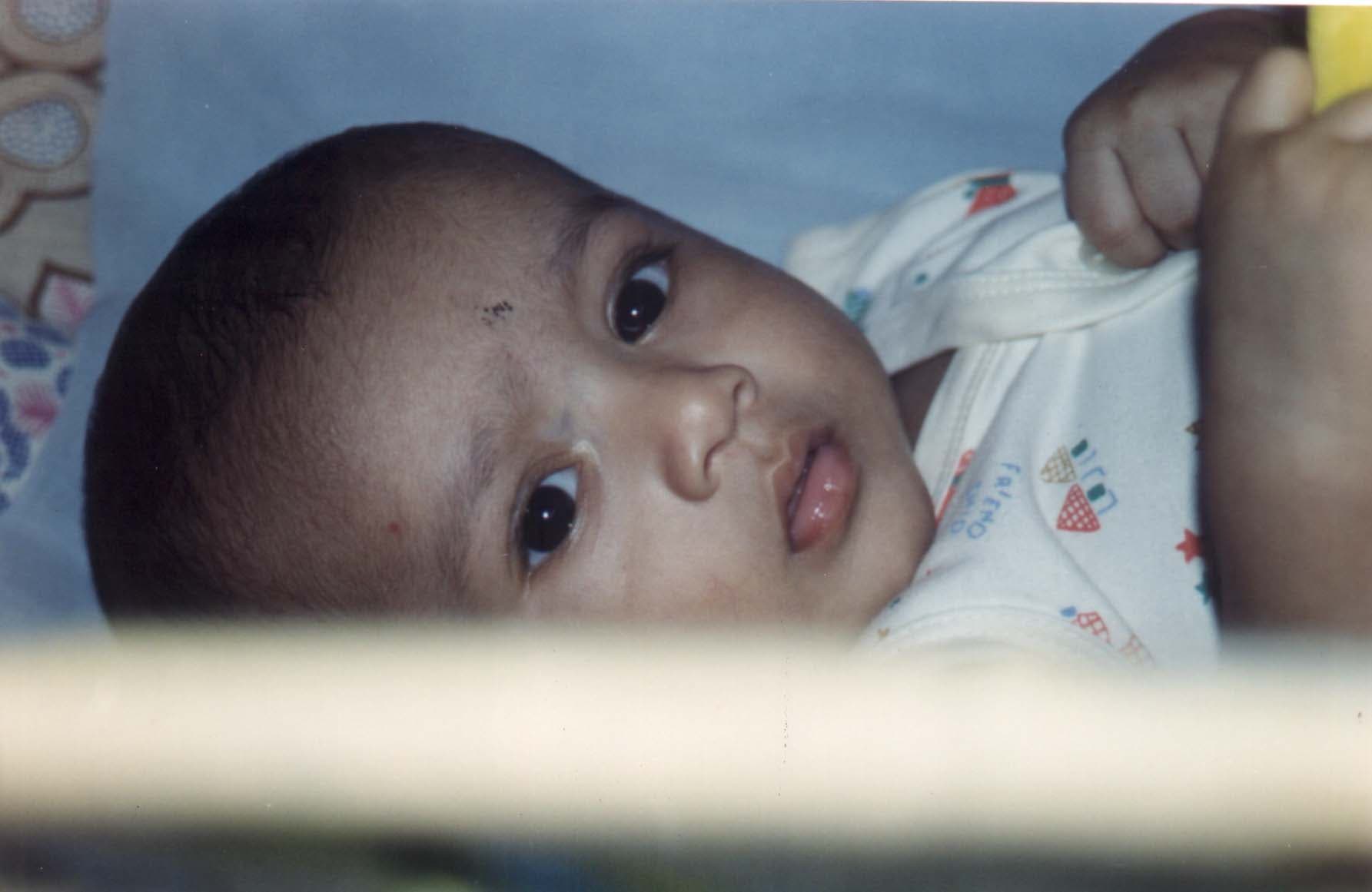 Cover Image for Cats and Love: Embracing the Purr of New Beginnings! 😺 ❤